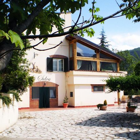 Agriturismo La Selva Rieti Exteriér fotografie